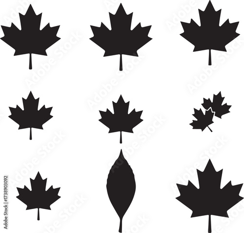 Maple Leaf Silhouette Variety: An array of elegant maple leaf silhouettes, showcasing diverse shapes and sizes in a modern and minimalist style, evoking the essence of nature's beauty.