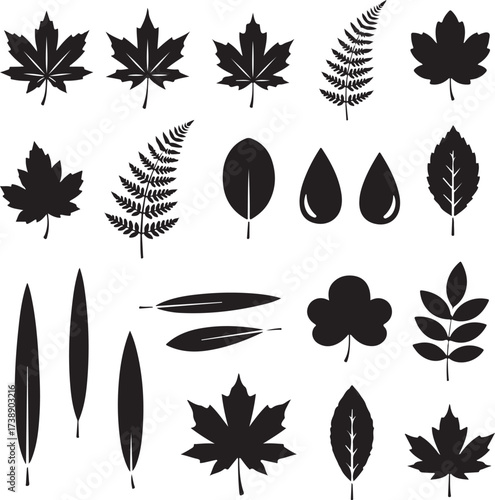 Botanical Silhouette Collection: A compilation of striking, black silhouette botanical illustrations, showcasing a diverse array of leaves and natural elements. A visual symphony of form and shape.