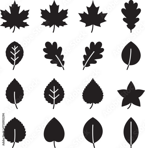 Silhouette of Leaf Collection: This image offers a curated selection of diverse leaf silhouettes. They are clean cut, minimalistic, offering a touch of nature's beauty for all to enjoy. 