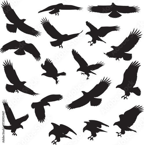 Soaring Silhouette Collection: A striking assortment of eagle silhouettes, captured mid-flight, provides a dynamic display of grace and power. A testament to freedom and the majesty of avian life.