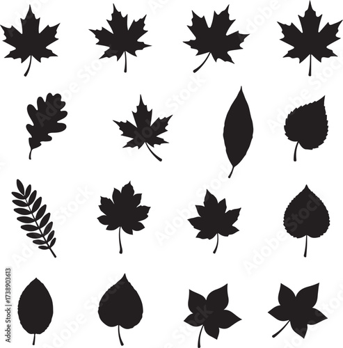Nature's Sketchbook: A collection of stylized black leaf silhouettes showcases the diverse forms and textures found in nature's exquisite detail. 