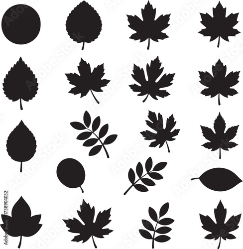 Silhouette of Varied Leaves: An artistic compilation of various leaf silhouettes. Each leaf displays a unique shape.