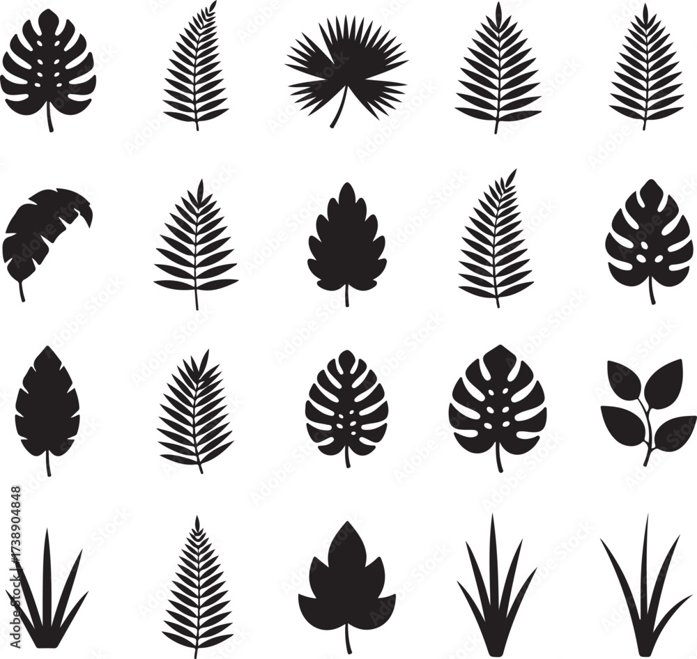 Obraz premium Exotic Leaves Silhouette Collection: A captivating array of diverse foliage, meticulously rendered in silhouette, offering a versatile visual resource for design and artistic projects.