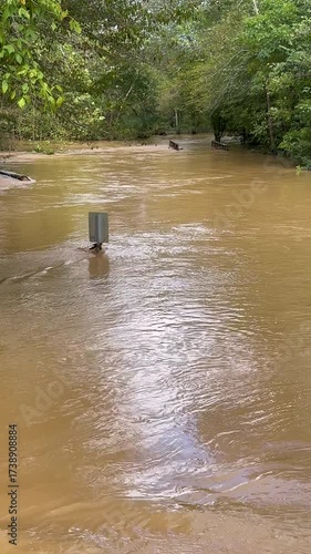 Vertical video shows Hurricane Helene floodwaters swamping Georgia creek