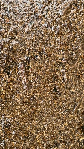 Vertical video of floodwater debris and sludge creepily moving