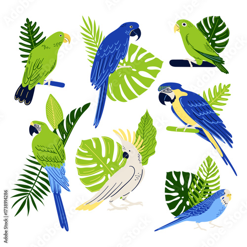 Tropical birds and foliage pattern