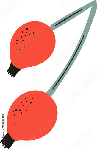 Two red rosehips with black spots on light blue stems