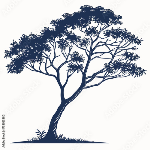 mangifera indica tree vector