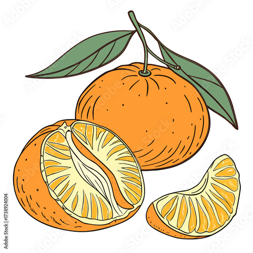 mandarine on white background 