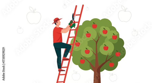 Gardener Pruning Apple Tree, Harvesting Juicy Red Fruits From Orchard During Harvest Season