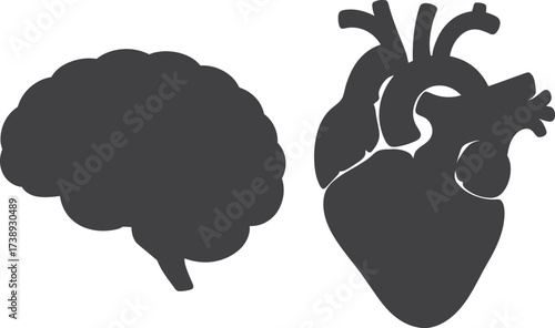 Silhouette of a human brain and heart on a white background