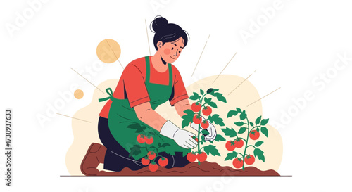 Woman Harvesting Fresh Tomatoes in Garden with Sunny Rays and Bright Green Apron at Work