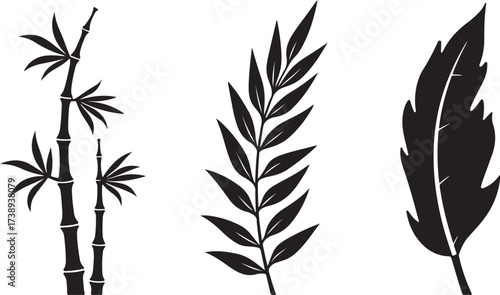 Botanical black silhouettes set nature design
