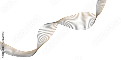 white lily isolated on white