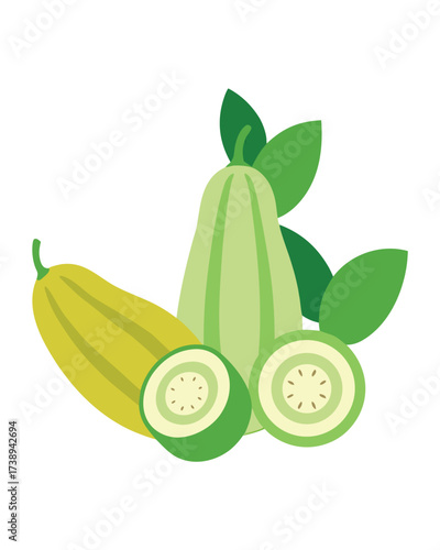 Vector art of a stylized illustration of a yellow zucchini and a green chayote squash, with two slices showing the internal texture