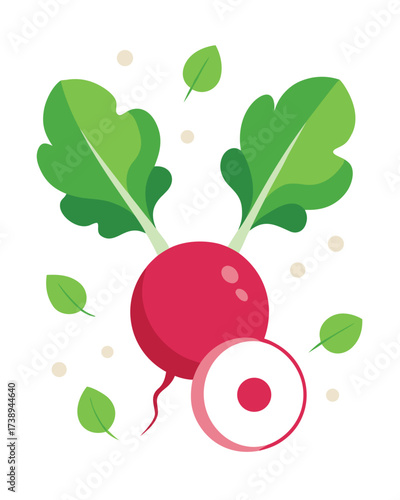 Vector art of a vibrant illustration of a fresh radish with green leaves, isolated on a, showcasing its root and a sliced crosssection