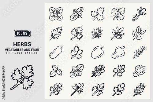 Collection of Hand Drawn Icons Representing Fresh Culinary Herbs and Some Fruits White Background.