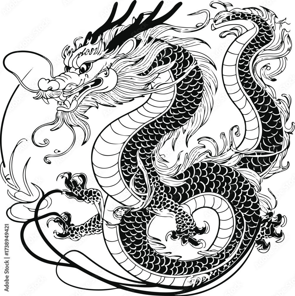 Fototapeta premium Smooth line art of traditional Chinese dragon 2