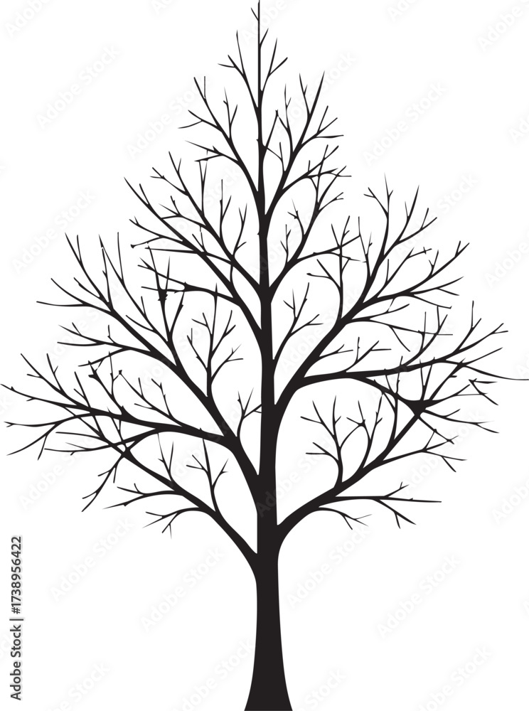 Obraz premium Detailed black silhouette of a bare deciduous tree with intricate branches isolated on white background