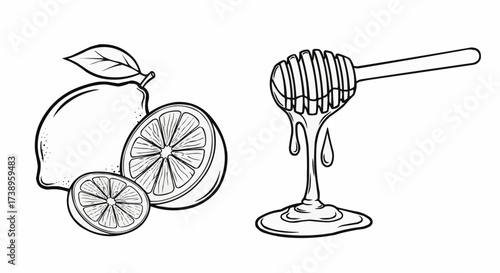 Hand drawn lemons with honey dipper illustration, perfect for healthy living designs