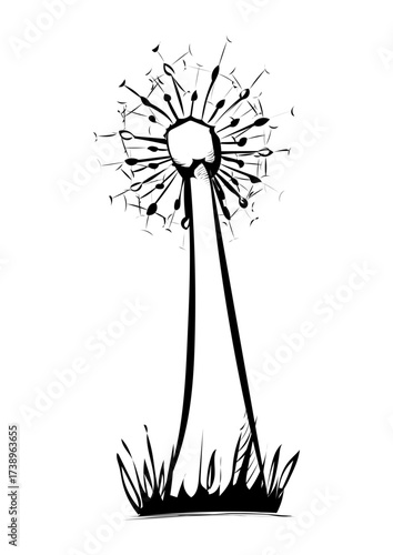 Pusteblume 