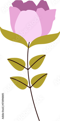 the most beautiful flowers  vector