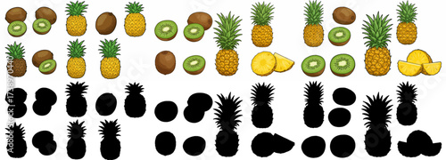 Pineapple and kiwi fruit collection with transparent background