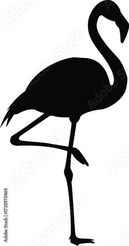 Silhouette of a flamingo standing on one leg graceful bird wildlife artistic design