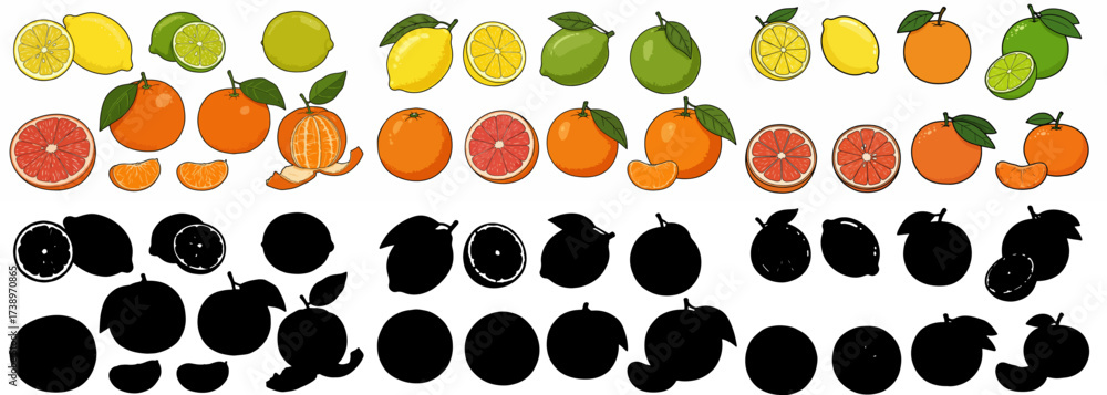 Fototapeta premium Citrus fruits collection with transparent background
