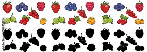 Mixed berries and silhouettes with transparent background