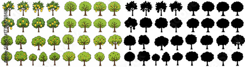 Lemon trees and tree silhouettes with transparent background