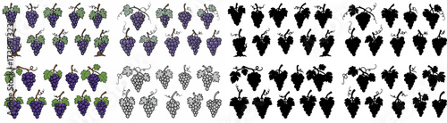 Grapes bunches in various styles with transparent background