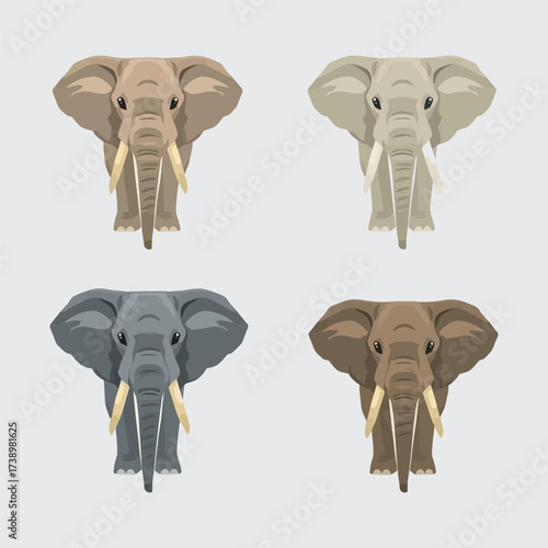 Four detailed front views of elephants with tusks in various natural colors, showcasing different species.
