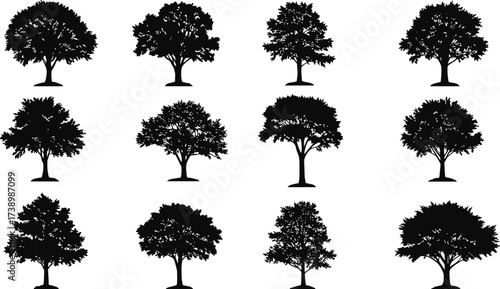 Tree silhouettes collection, black tree icons, forest illustration set, nature design elements, landscape decoration, botanical shapes, woodland graphics, environmental clipart