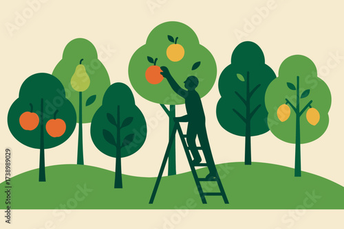 Scene stylized fruit picking vector person from minimalist orchard trees silhouette illustration