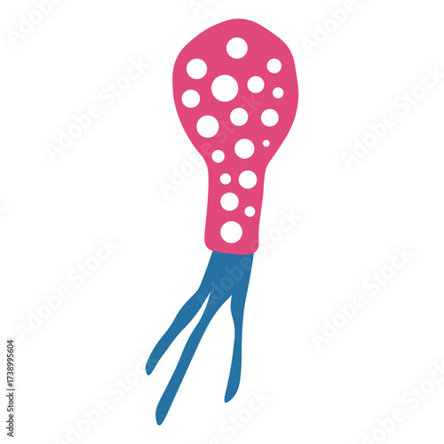 Difflugia Protozoa