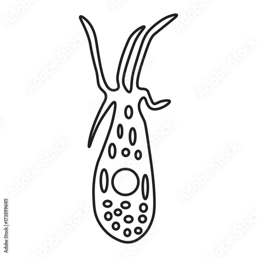 Difflugia Protozoa line icon