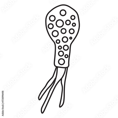 Difflugia Protozoa line icon