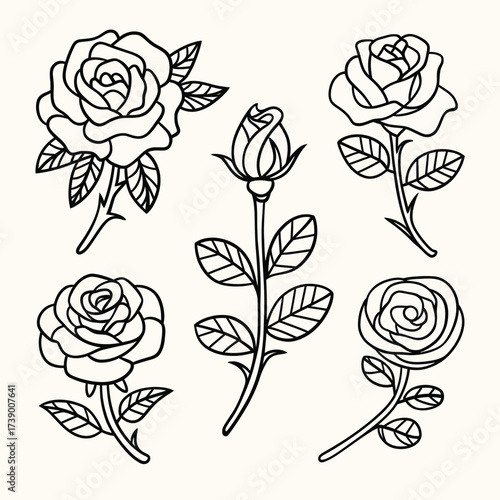 Vector silhouette clip art collection of blooming roses and buds ideal for floral designs silhouette White background