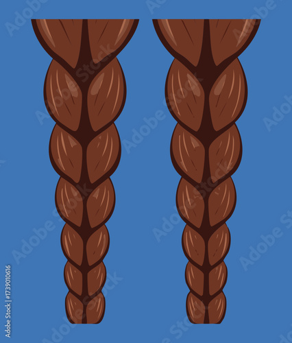 Detailed Illustration Thick Braided Ponytail Dark Brown Hair Isolated Graphic