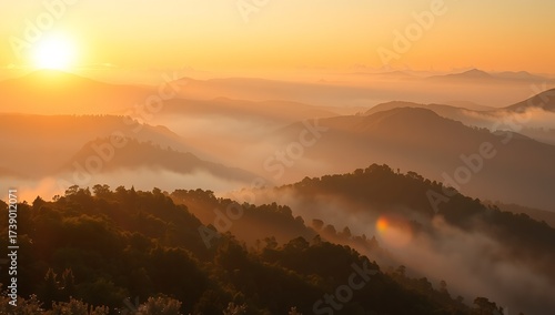 Wallpaper Mural Golden Sunrise Over Layered Misty Mountains and Forested Hills. Torontodigital.ca