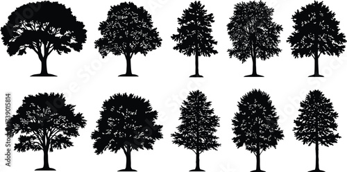 Silhouette tree collection, diverse tree shapes, natural forest outline, landscape design elements, botanical illustration, foliage pattern, isolated vector trees,