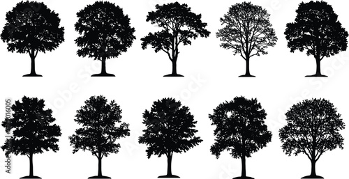 Stylized tree illustrations, abstract forest design, black and blue tree silhouettes, seasonal nature icons, decorative foliage patterns, botanical graphic art, environmental concept