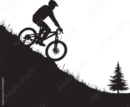 Black silhouette mountain biker descending grassy hill with pine tree