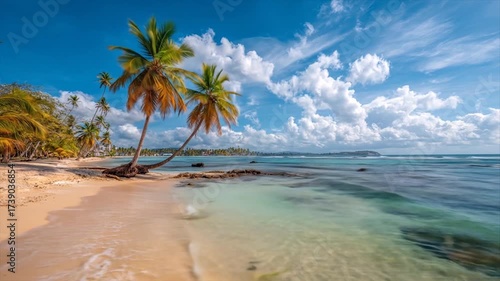 Tropical beach scene with palm trees and clear turquoise water under blue sky
