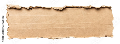 Wallpaper Mural Crumpled torn strip of kraft paper with rough edges, isolated on transparent cutout background Torontodigital.ca