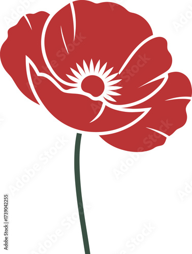 Vector art of red poppy isolated on white