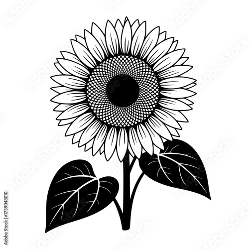 Vector art of black mascara brush strokes isolated on white