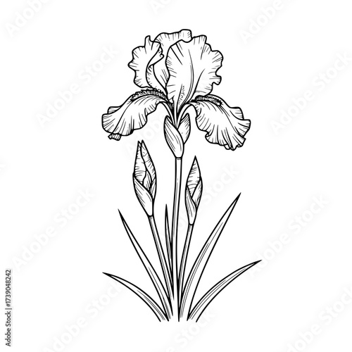 Vector art of closeup of a blue denim jacket texture