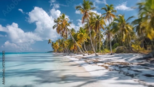 Tropical beach with palm trees and turquoise water under a blue sky